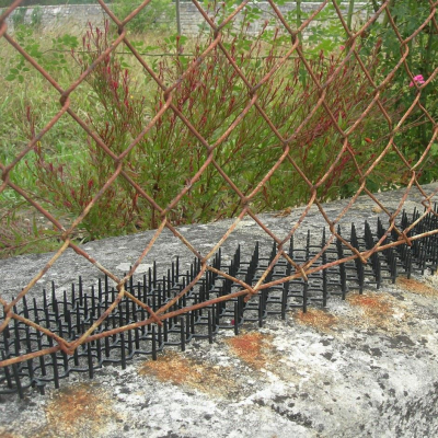Grille Stop Chat