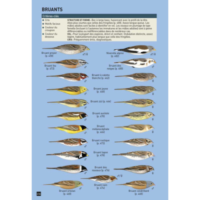 Cahier d'identification des Passereaux d'Europe en Vol