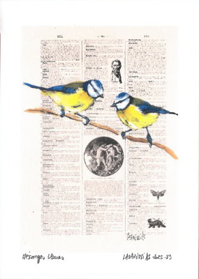 Carte postale collection d'art - Mésanges bleues