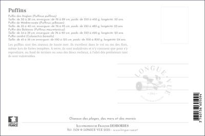 Carte postale simple 10 x 15 cm - Puffins