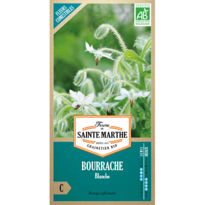 Graines Bio Bourrache blanche