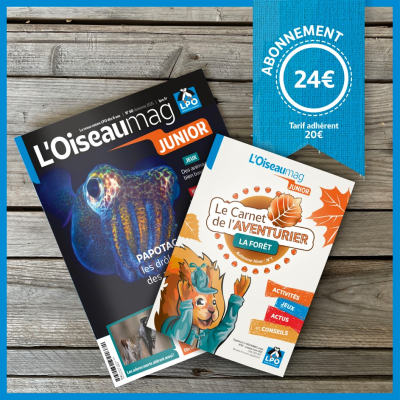 L'Oiseau Magazine Junior n°60 - Automne 2025