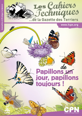 Les cahiers techniques - Papillons de jour, papillons toujours !