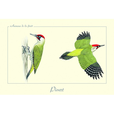 Carte Postale simple 10 X 15 cm Pic Vert