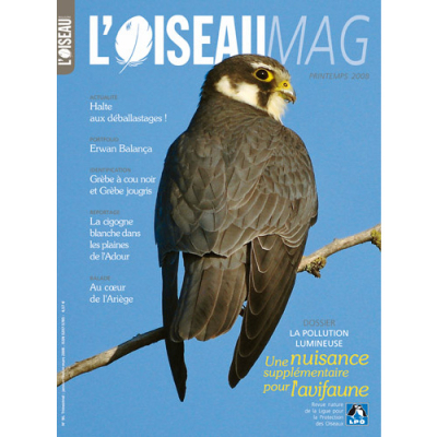 L'Oiseau Mag n° 90