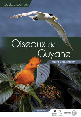 Guide expert des oiseaux de Guyane