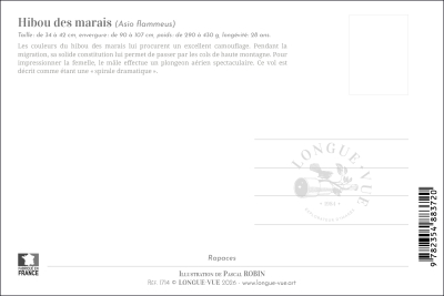 Carte postale simple 10 x 15 cm - Hibou des marais
