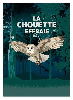 Carte postale LPO vintage Chouette effraie