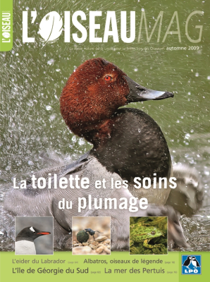 L'Oiseau Mag n° 96