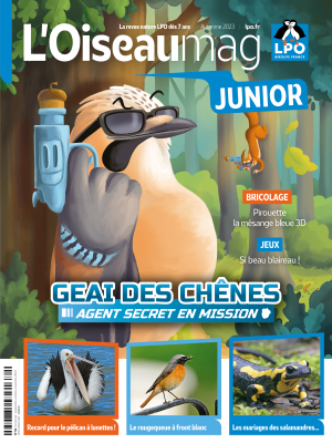 L'Oiseau Magazine Junior n°52