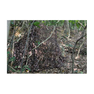 Filet de camouflage sous-bois automne 1,5 x 5 mètres
