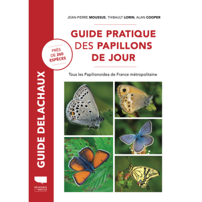 Guide pratique des papillons de jour