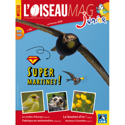 L'Oiseau Magazine Junior n°34