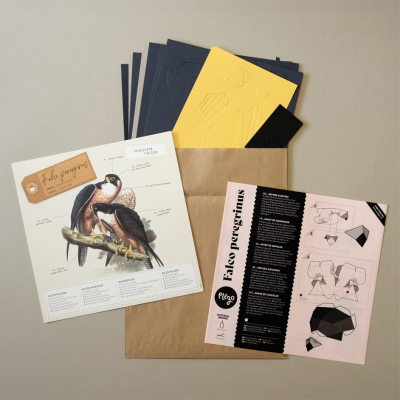 Origami Faucon pèlerin 3D en papier, DIY