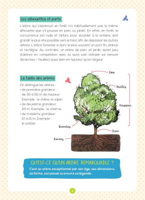 Mon petit guide nature, Les arbres