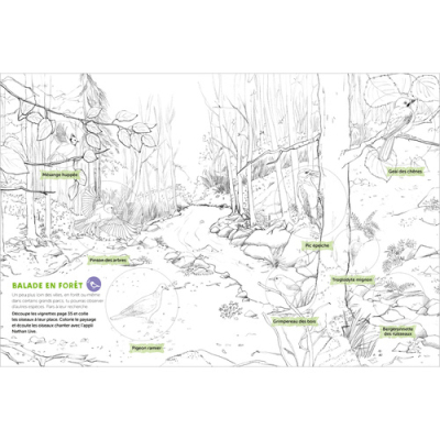 Mon cahier d'observation et d'activités, les Oiseaux
