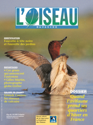 L'Oiseau Mag n° 72
