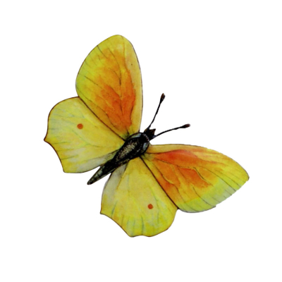 Sculpture métal Citron avec aimant