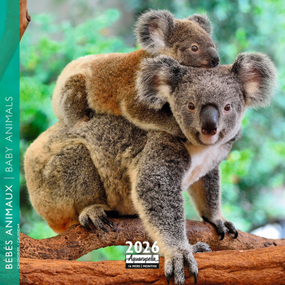 Calendrier 2026 Bébés animaux 16,5 x 16,5 cm