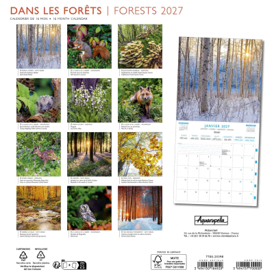 Calendrier 2027 Dans les forêts 30 x 30 cm