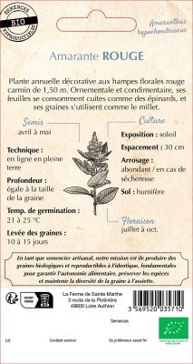 Graines Bio Amarante Éléphant Rouge