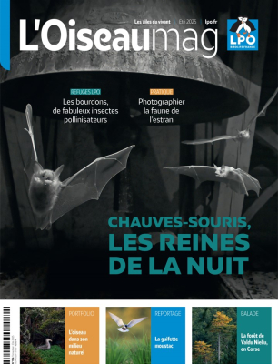 L'Oiseau Magazine N°159 - Été 2025