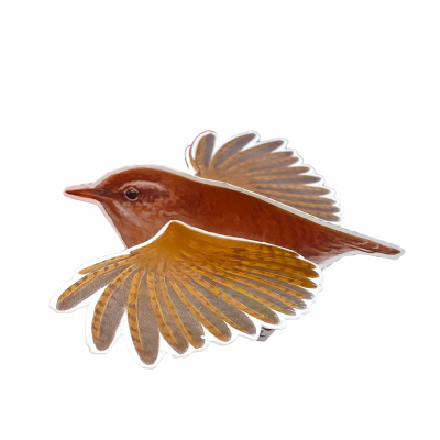 Lot de 4 mobiles Oiseaux n°2 - LPO x CPN