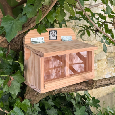 Mangeoire double LPO pour écureuils