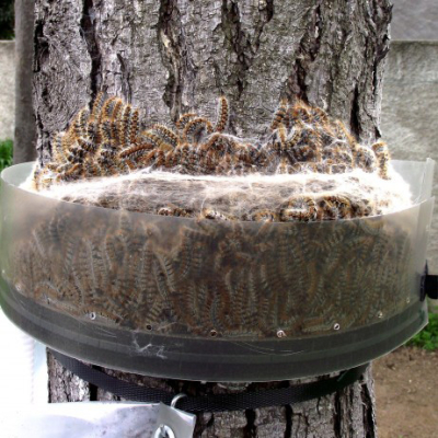 Kit Écopiège® - Diamètre 80 cm