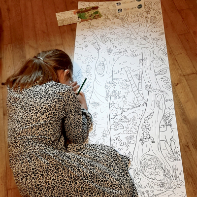 Frise de coloriage L'arbre de la biodiversité
