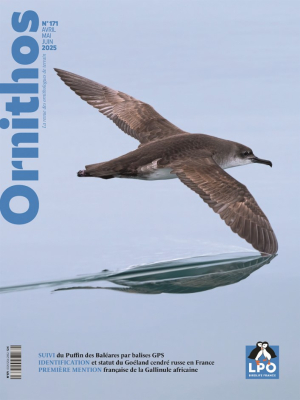Ornithos n°171 - 2ème trim. 2025