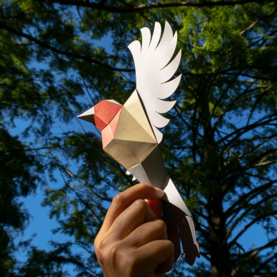Origami Rougegorge 3D en papier, DIY