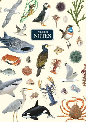 Carnet de notes A5 - Échos marins