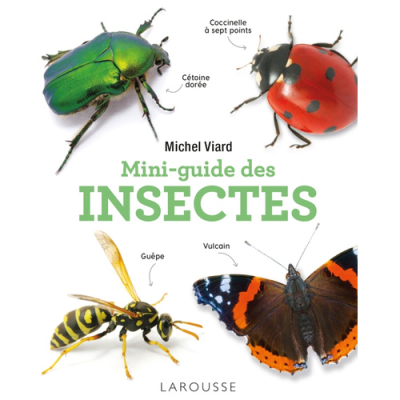 Mini-guide des insectes, Nouvelle édition