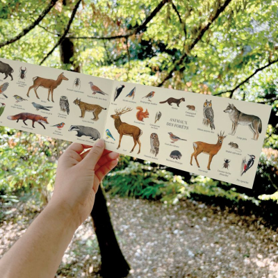 Carte postale double 21 x 10 cm - Animaux des forêts