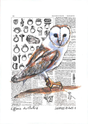 Carte postale collection d'art - Effraie des clochers