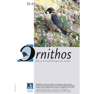 Ornithos N°26/6, Novembre-Décembre 2019