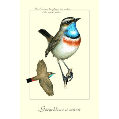 Carte Postale simple 10 X 15 cm Gorgebleue à miroir