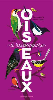 Oiseaux à reconnaître