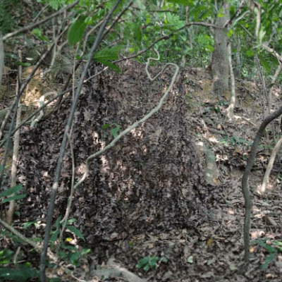 Filet de camouflage sous-bois automne 1,5 x 5 mètres