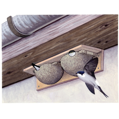 Nid double Hirondelle de fenêtre Schwegler N°9B