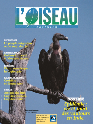 L'Oiseau Mag n° 65