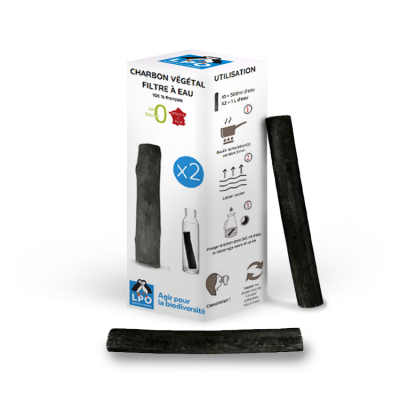 Charbon actif français bâton filtrant, lot de 2