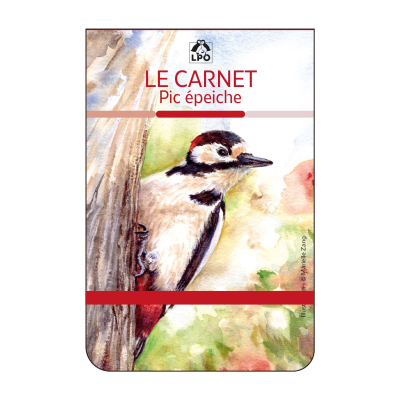 Carnet LPO - Pic épeiche