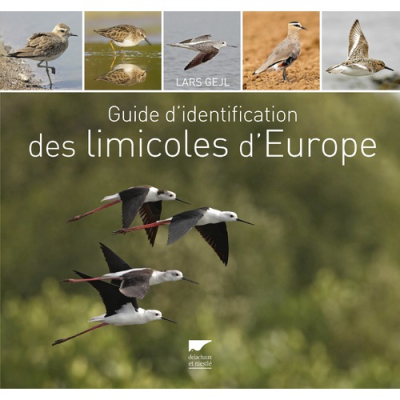 Guide d'identification des limicoles d'Europe