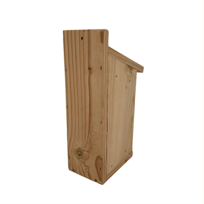 Gîte abeilles solitaires