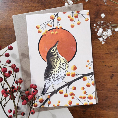 Carte postale Grive musicienne