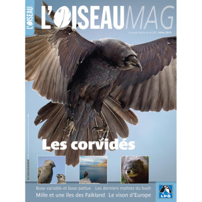 L'Oiseau Mag n° 137