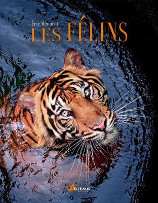 Les félins