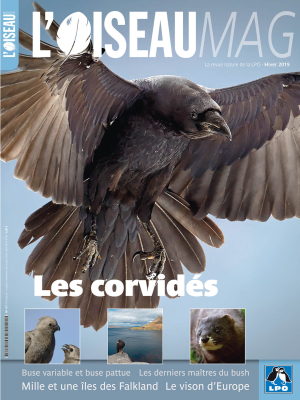L'Oiseau Mag n° 137